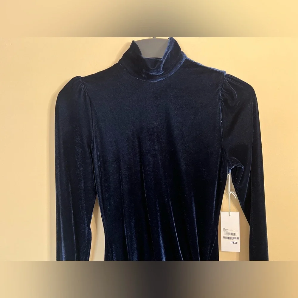 Reformation Moonlight Long-sleeved Gown - Picture 7 of 9